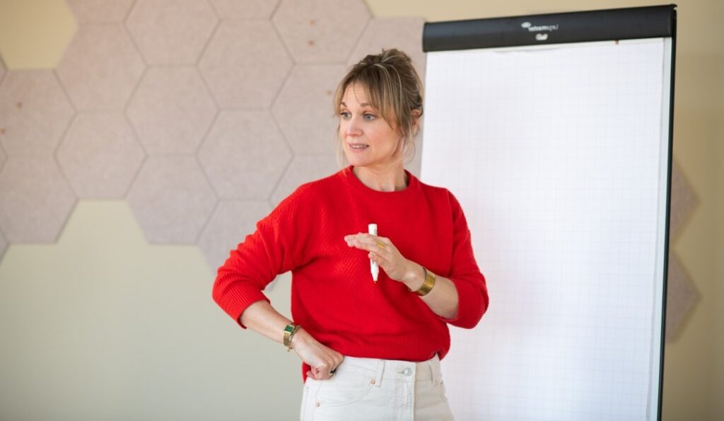 Trainersopleiding voor trainers en coaches en systemische opleidingen en teamontwikkeling